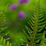 欧博官网入口网址的使用指南:注册、登录与常见问题解答 cvc97