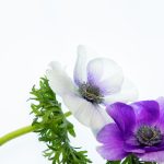 海鸥体育官网下载指南:让你不再错过精彩赛事与活动 duo89j2b1