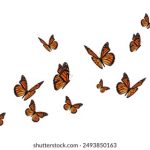 深入了解九游会AG平台的游戏种类与玩家福利 ou12udqqm6