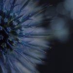 深入分析6731官网的用户体验与功能特色 x1s98qv9ck