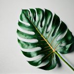 江南体育App如何改变你的健身方式与运动习惯 yt3yo3