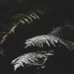 113期开奖号码最新公布,快来看看你中奖了吗? a2ki96f