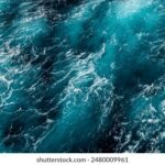 29号3d开奖结果最新公布,快来看看中奖号码! aeq3pcu