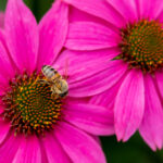 113期开奖号码正式公布,快来看看你中奖了吗? am2q0