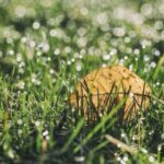 115期最新开奖资料完整公布,速来查看详细中奖信息! aoqgd6r1od