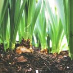 116开奖现场直播最新开奖结果全程高清同步 ay0aq