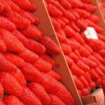 29彩票最新开奖结果查询与中奖号码公布 c7phem7kip