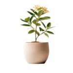 113期开奖结果揭晓,幸运号码震撼出炉 sr3xrdg