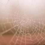 113期开奖直播现场全程回顾,精彩瞬间不容错过! st48x