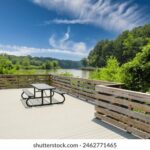 115期开奖马号最新公布,本期热门号码与中奖趋势全面解析 yy57pu