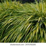 116手机最快开奖现场直播查询 yyrz7zxn